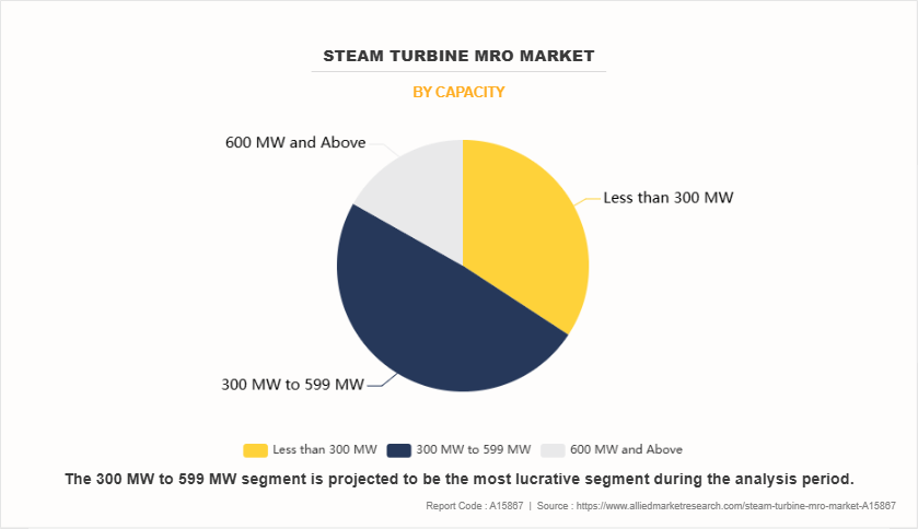 Steam Turbine MRO Market by Capacity